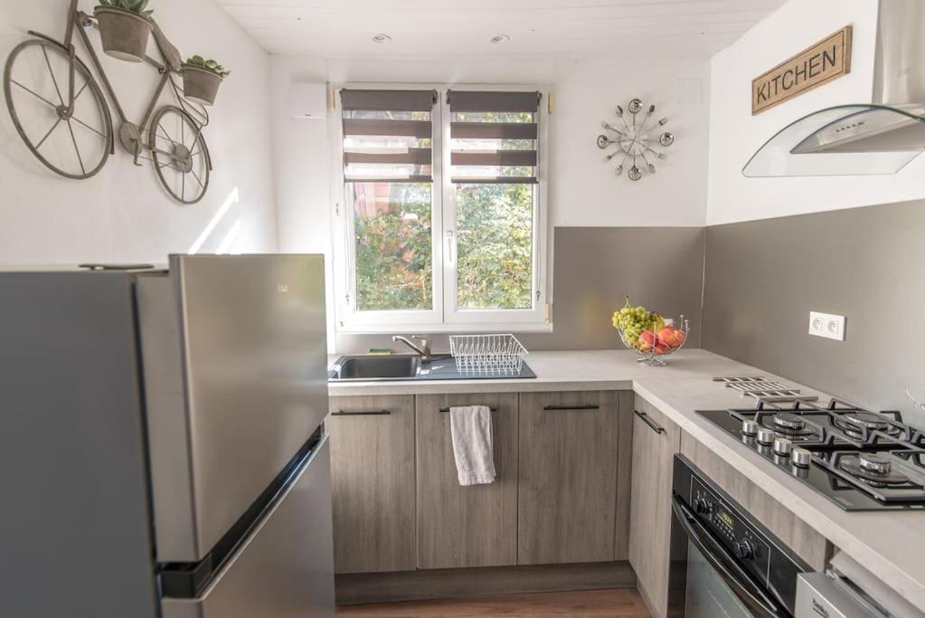 Apartment New L'industr'ill Au Coeur De L'alsace